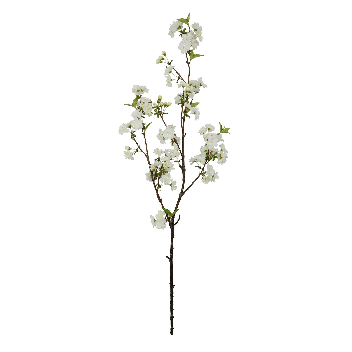 Botanica White Cherry Blossom (113cm)