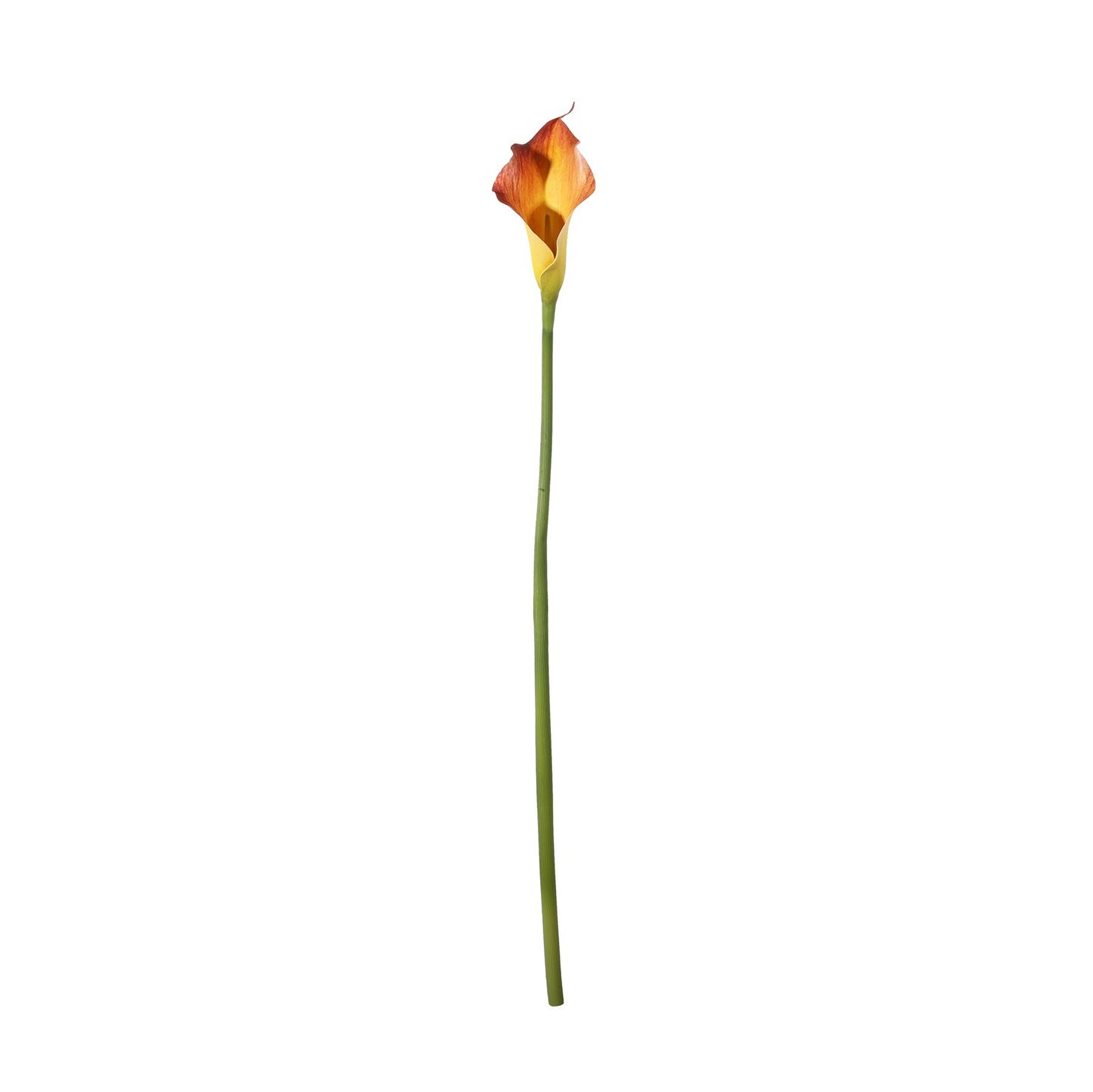 Botanica Mango Calla Lily (60cm)