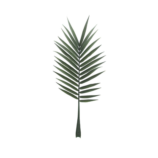 Botanica Palm Leaf (127cm)
