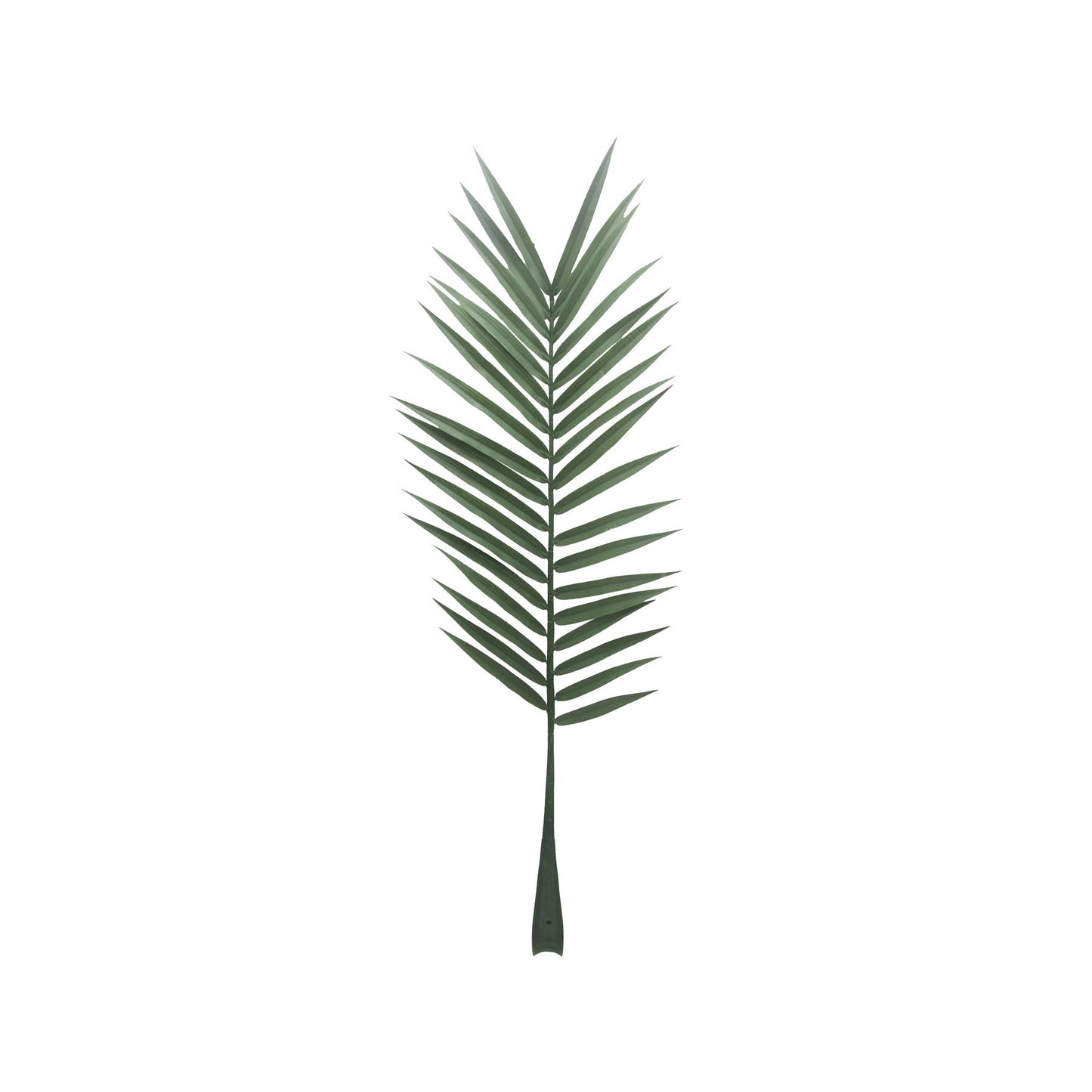 Botanica Palm Leaf (147cm)