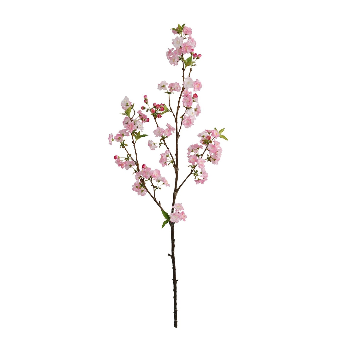 Botanica Pink Cherry Blossom (113cm)