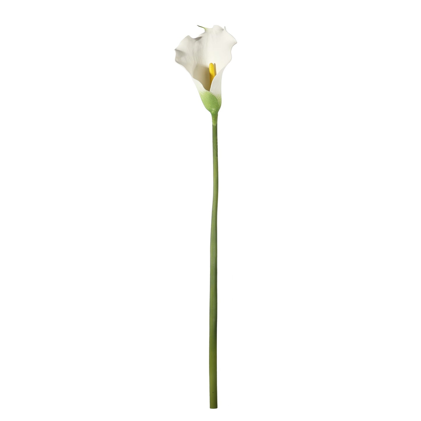 Botanica Large White Calla Lily (82cm)