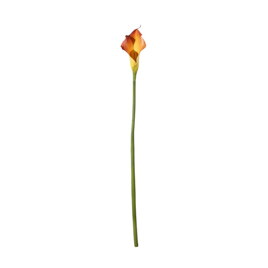 Botanica Mango Calla Lily (60cm)