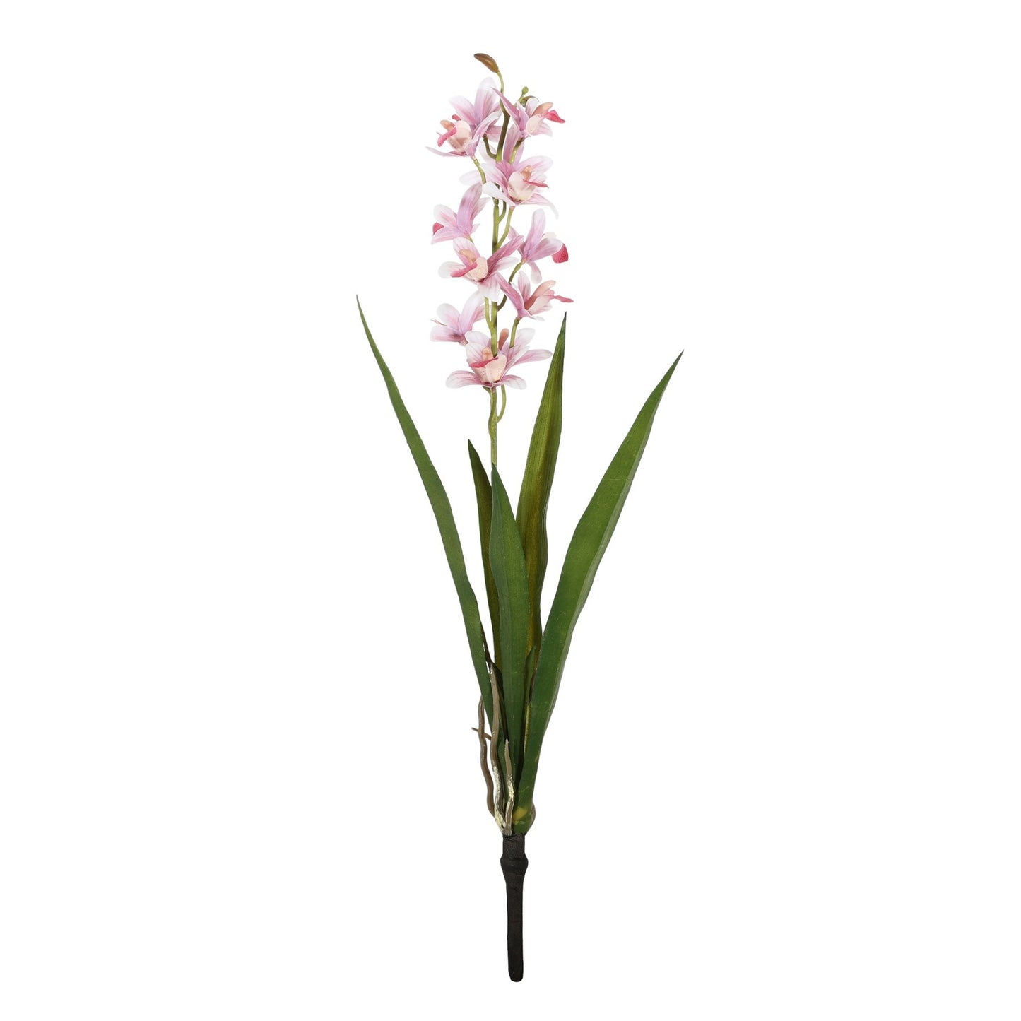 Botanica Mini Pink Cymbidium Plant (45cm)
