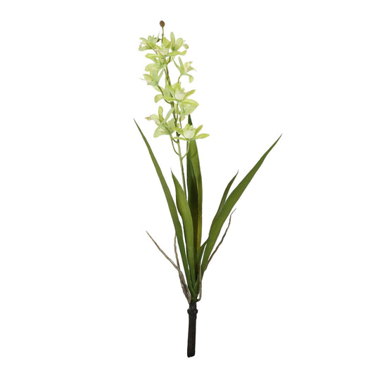 Botanica Mini Green Cymbidium Plant (45cm)